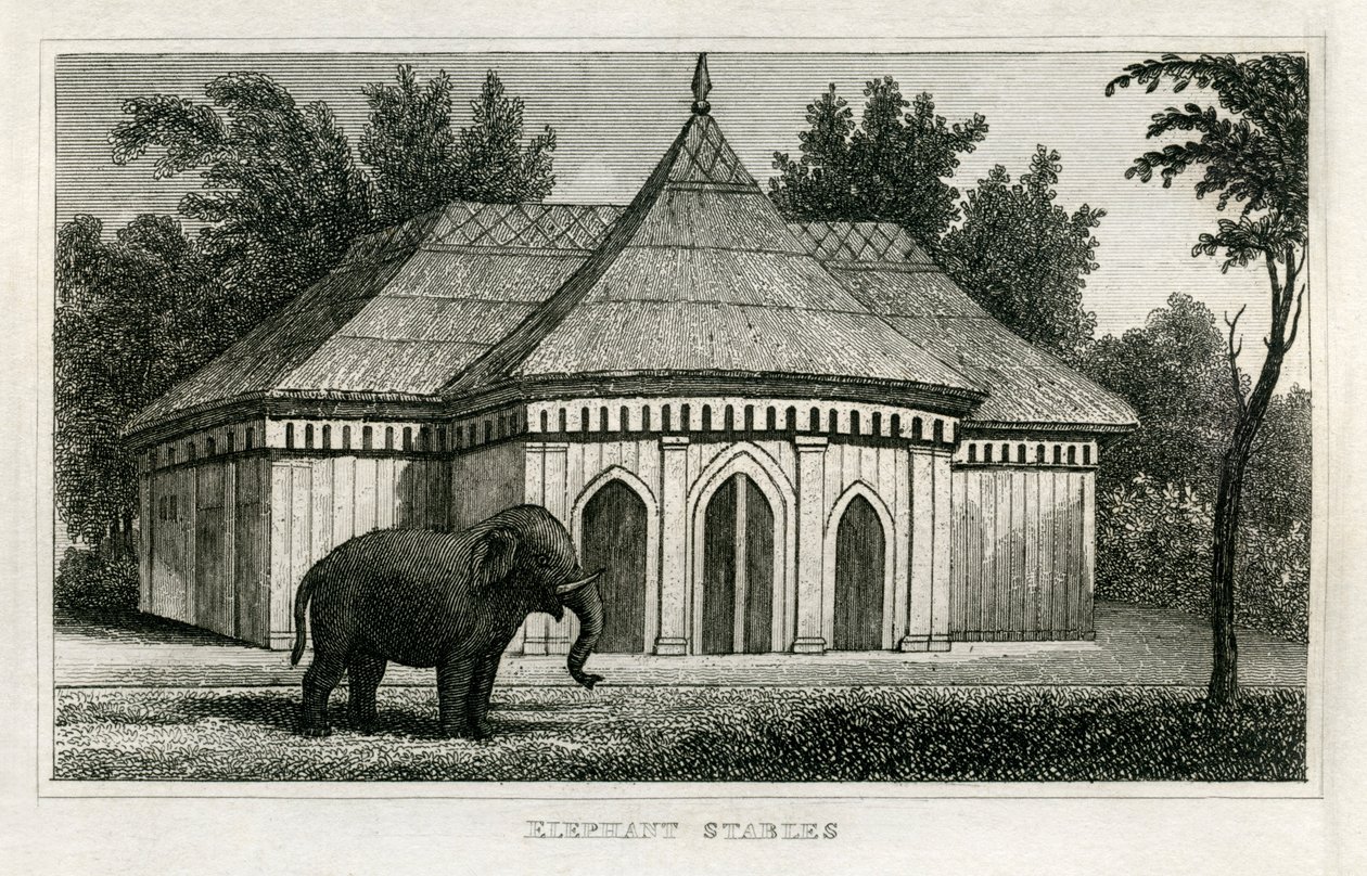 Regent