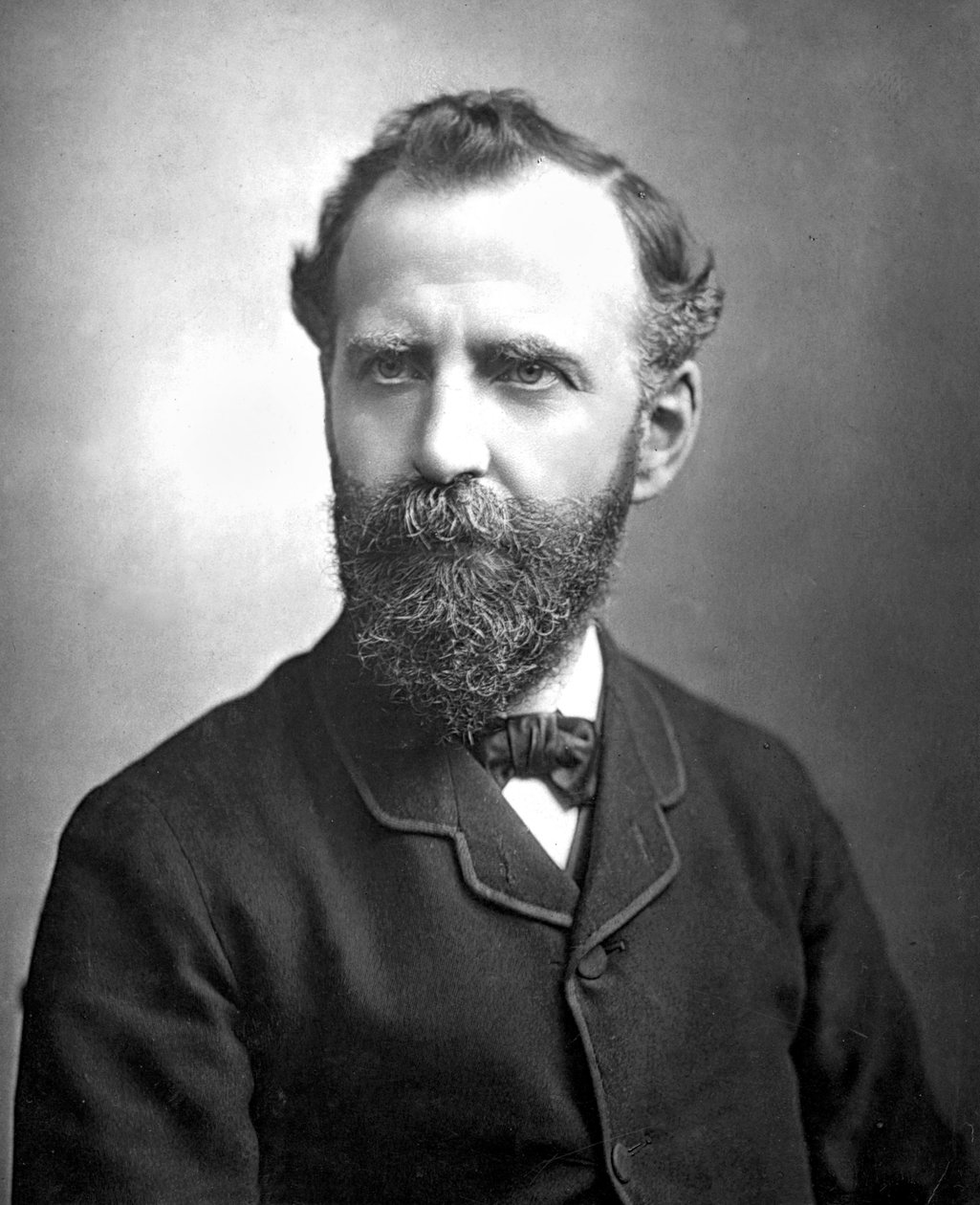 Verenigd Koninkrijk: William Thomas Stead door Unbekannt