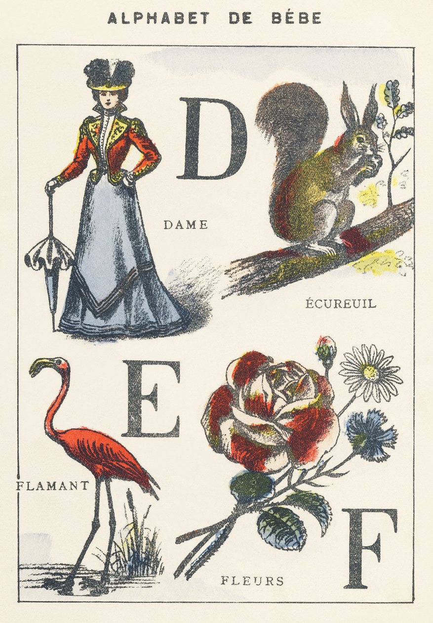 D E F: dame, eekhoorn, flamingo, bloemen door Unknown artist