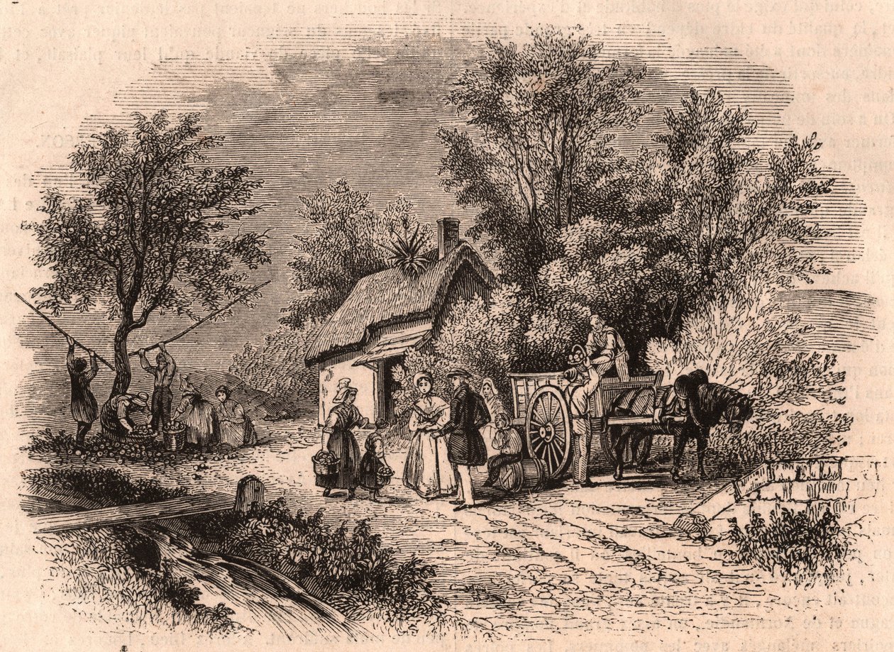 Appeloogst in Normandië, Frankrijk door Unknown