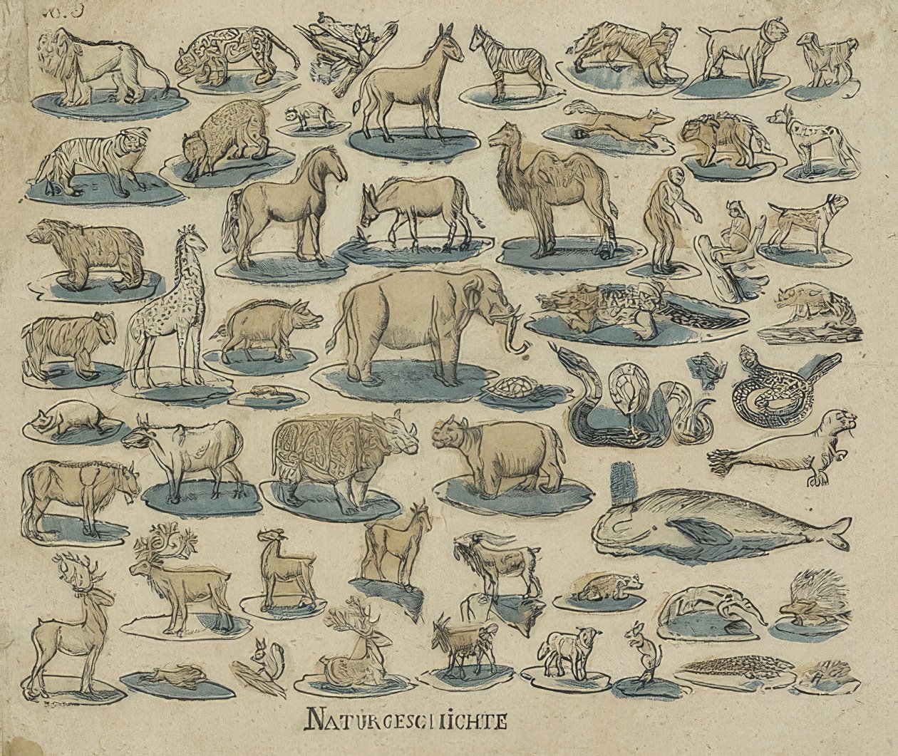 Dieren door Unknown