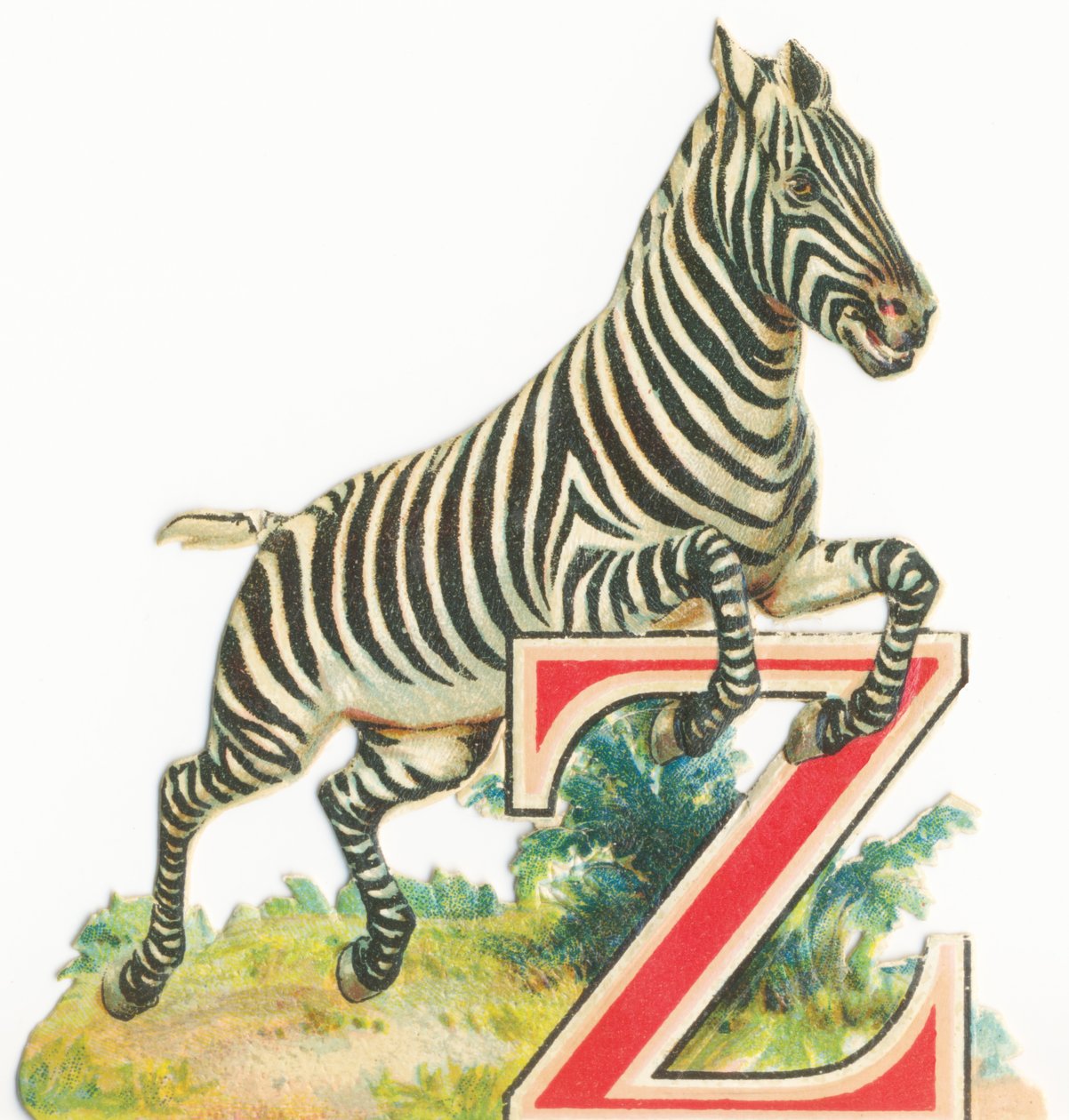 Z: Zebra door Unknown artist