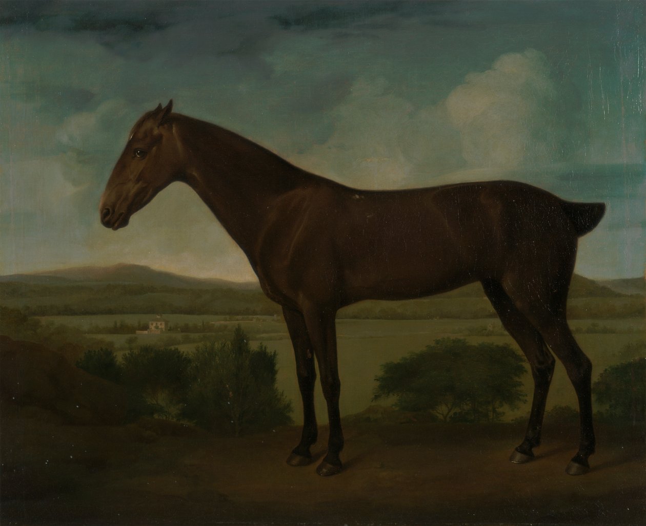 Bruin paard in een heuvelachtig landschap door Unknown artist