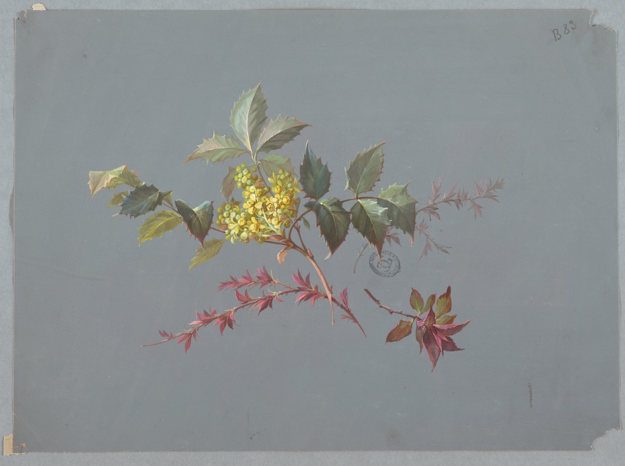 Ontwerp voor behang en textiel: bloemen door Unknown artist