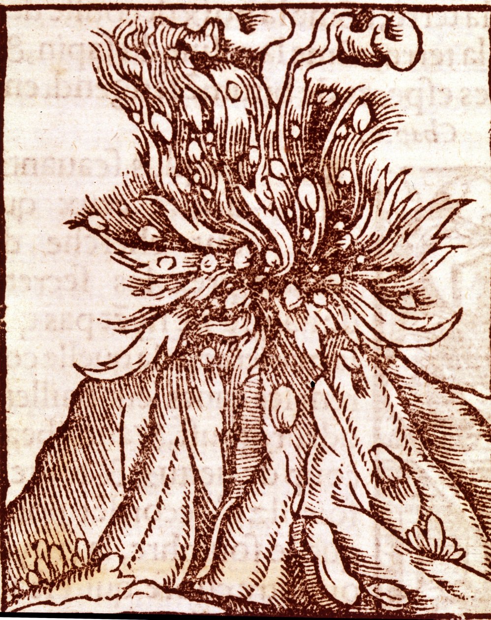 Uitbarsting van een vulkaan. 16e-eeuwse gravure. door Unknown artist