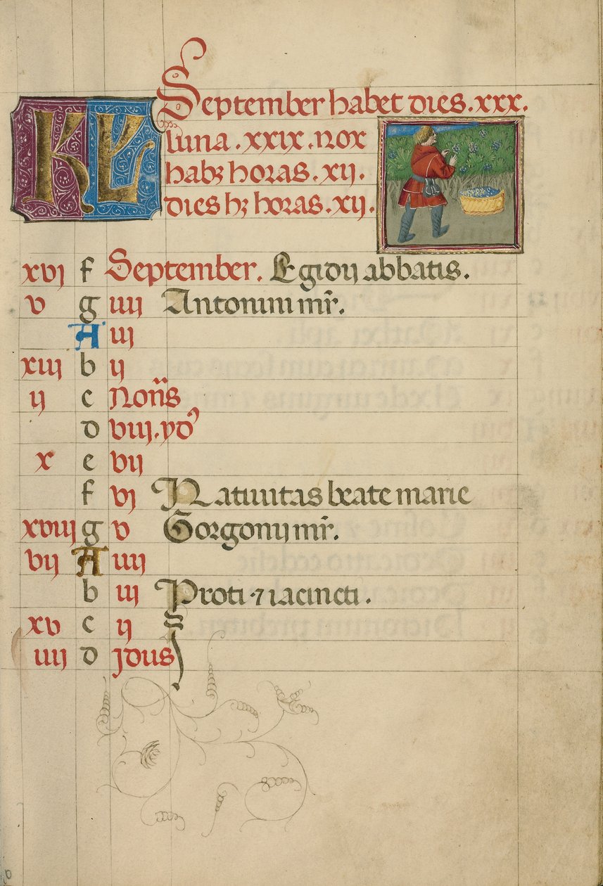 September Kalenderblad; Druiven oogsten door Unknown artist