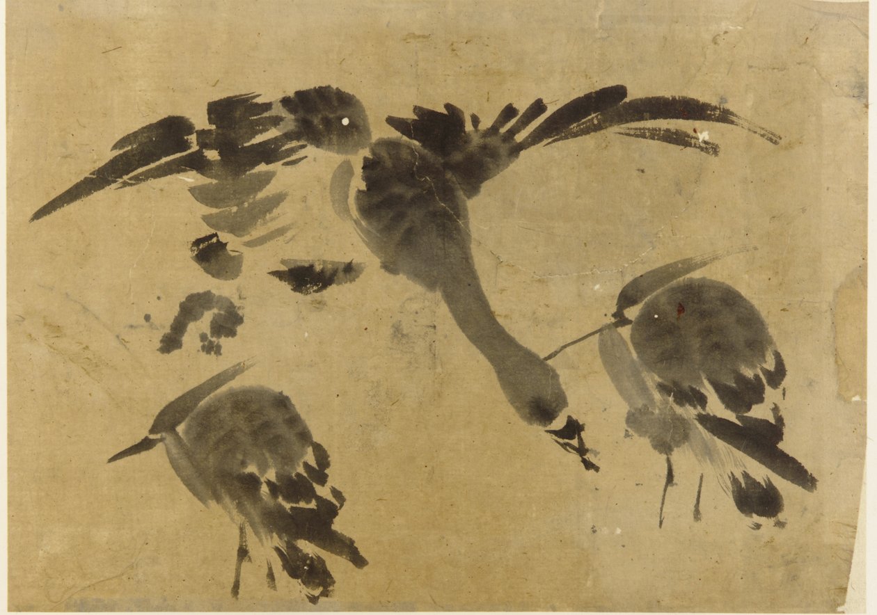 Twee reigers en een gans door Unknown artist