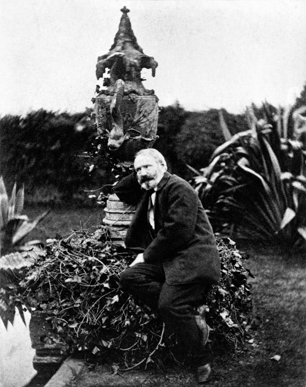 Portret van Victor Hugo door Unknown photographer
