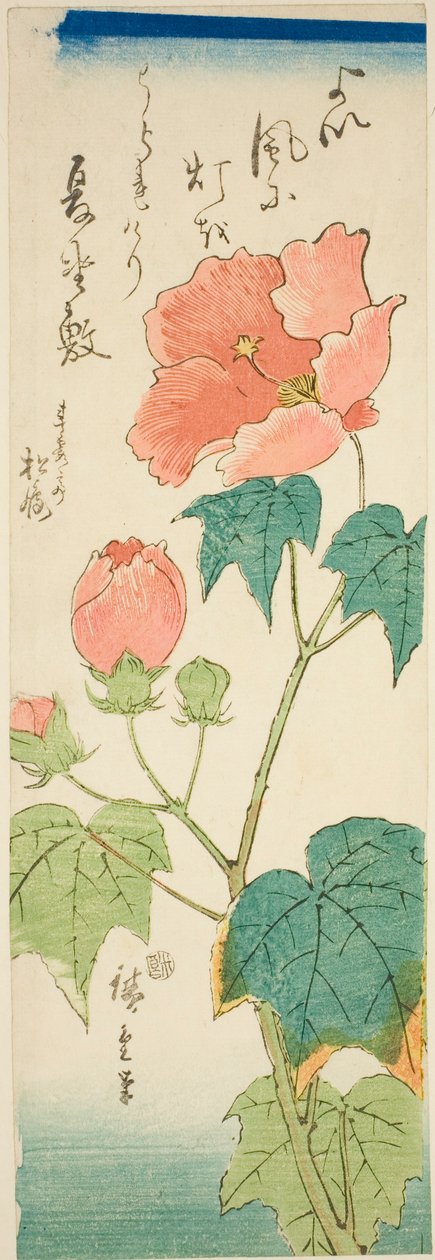 Hibiscus door Utagawa Hiroshige