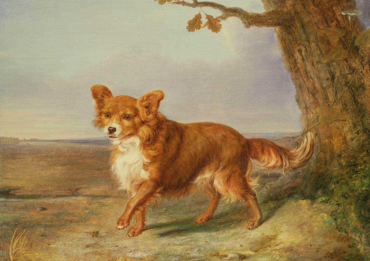 Portret van een hond in een Italiaans landschap door Vallati