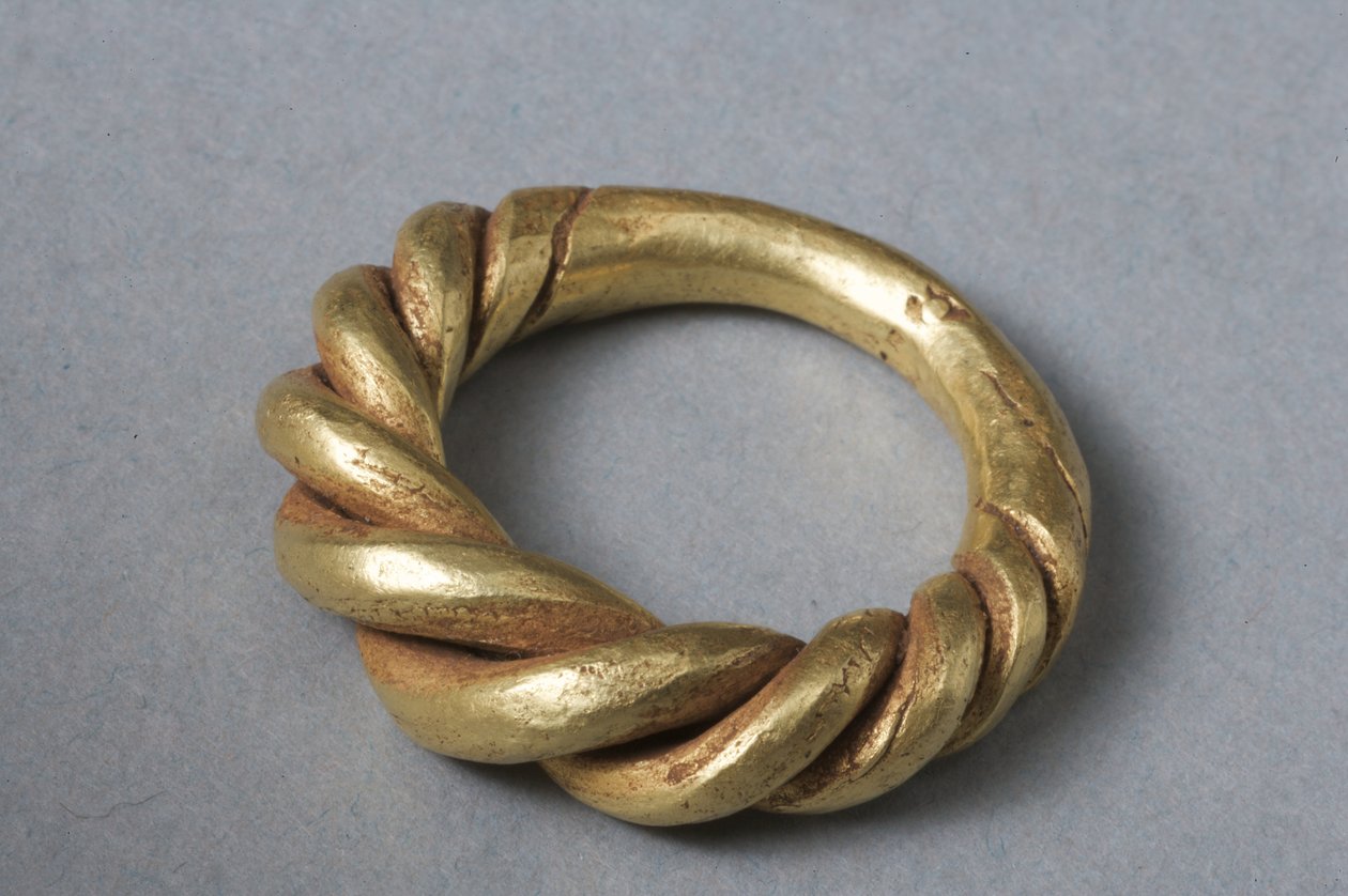 Ring met annulus (goud) door Viking