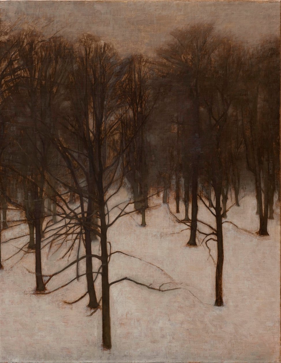 Sondermarken Park in de winter door Vilhelm Hammershoi