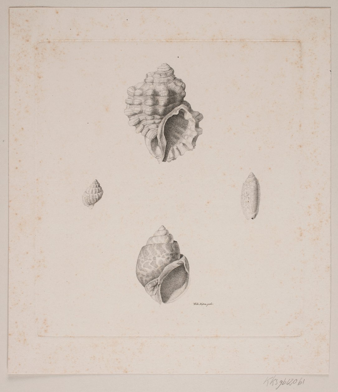 Vier schelpen door Vilhelm Kyhn