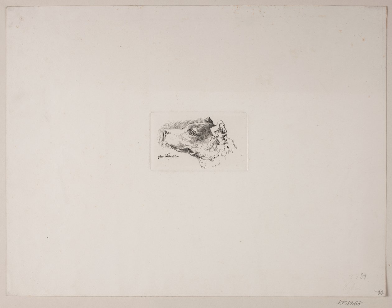 Hondenhoofd door Vilhelm Kyhn