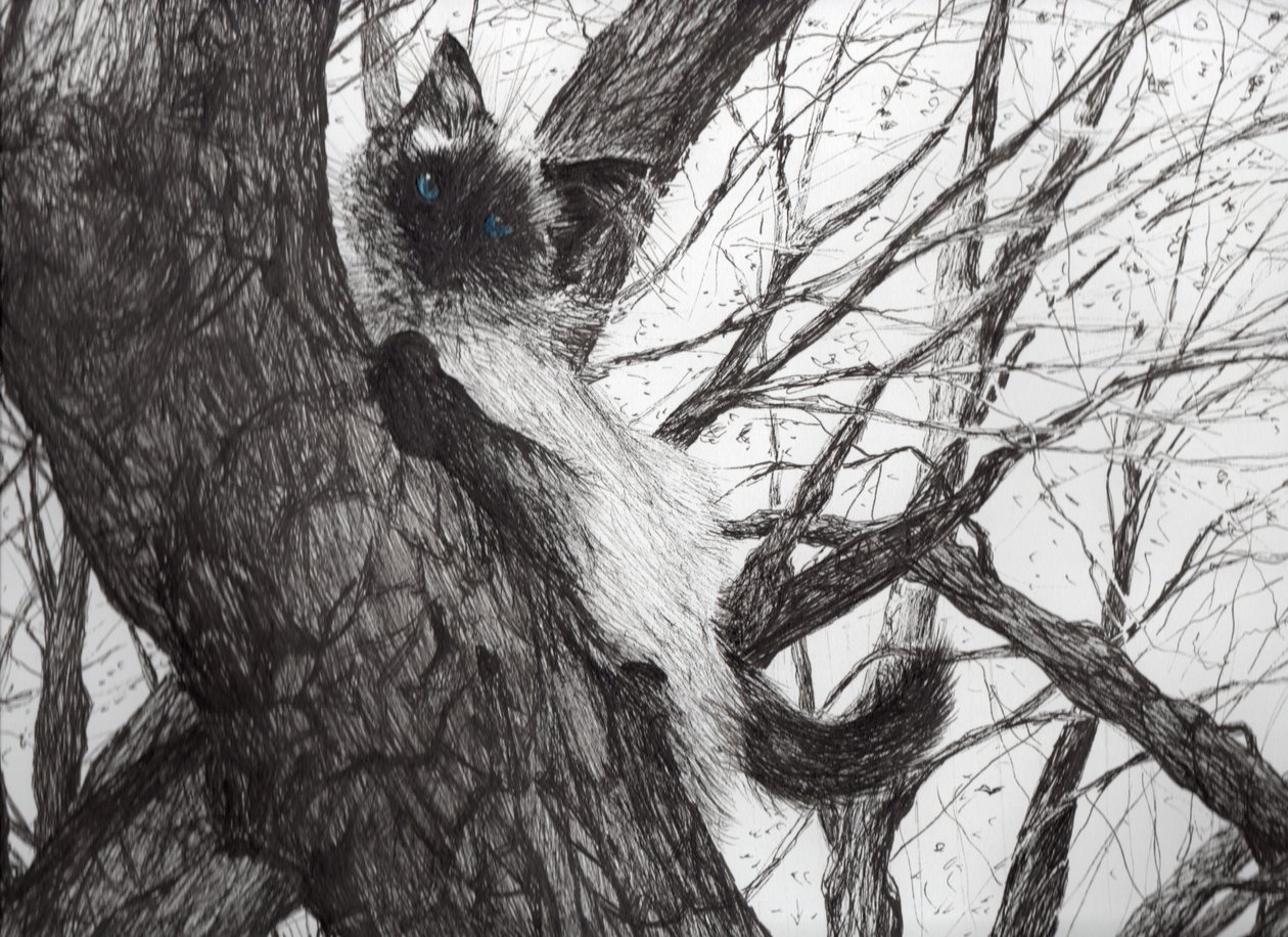 In de appelboom, 2006 door Vincent Alexander Booth