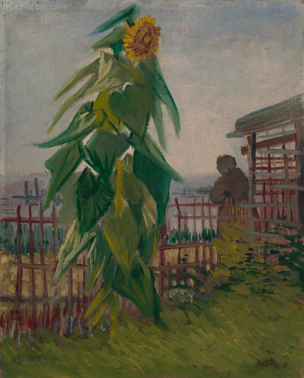 Volkstuin met zonnebloem door Vincent van Gogh