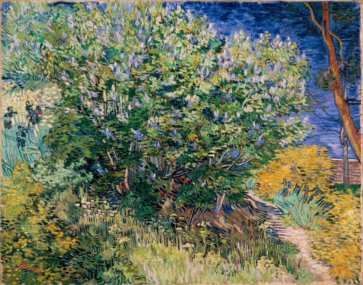 Seringstruik (Seringen) door Vincent van Gogh