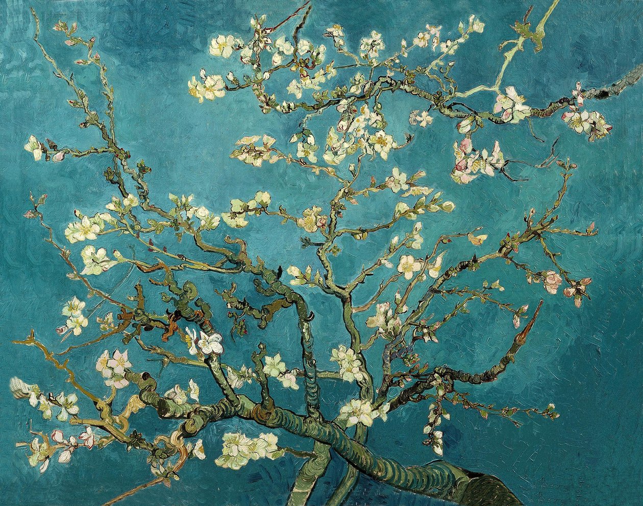 Amandelbloesem door Vincent van Gogh