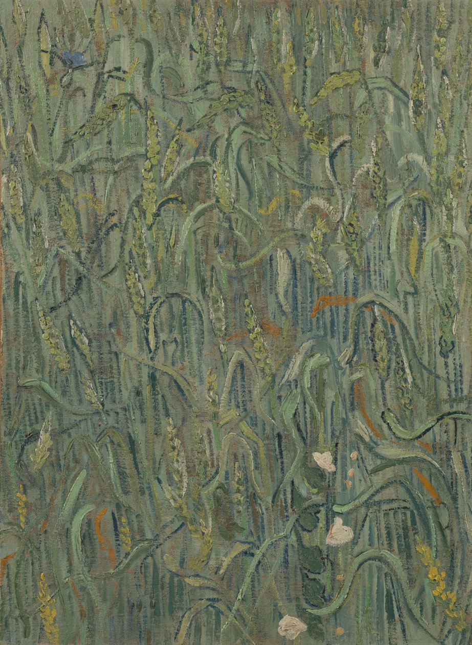 Aren door Vincent van Gogh