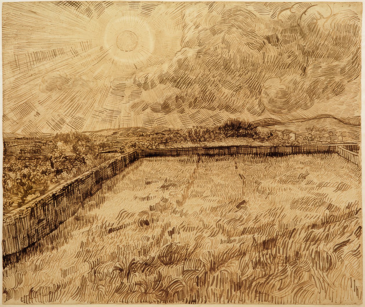 Velden en olijfbomen door Vincent van Gogh