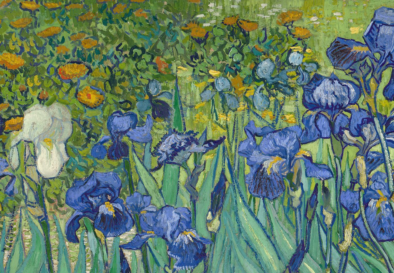 Iris, 1889 (detail) door Vincent van Gogh