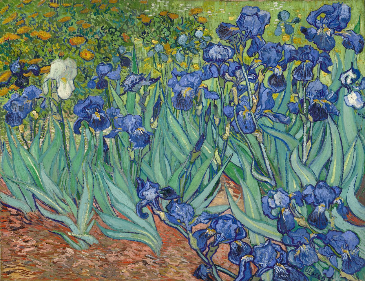 Iris door Vincent van Gogh