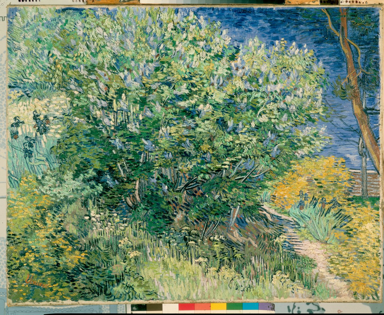 Seringstruik door Vincent van Gogh