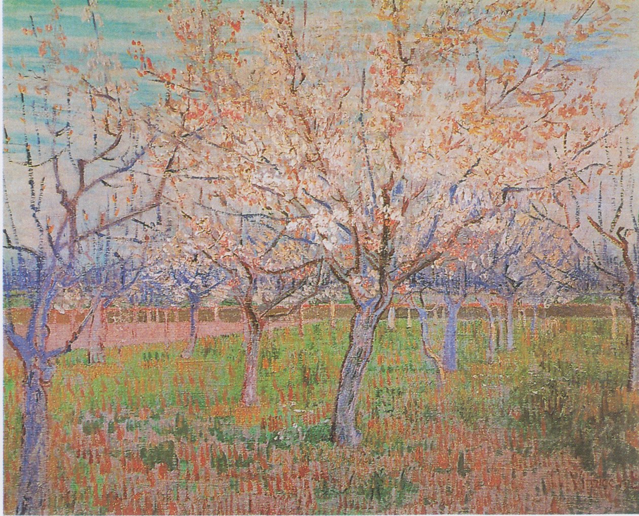 Boomgaard met bloeiende abrikozenbomen door Vincent van Gogh