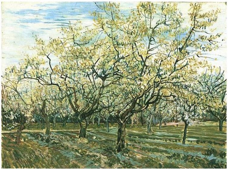 Boomgaard met bloeiende pruimenbomen door Vincent van Gogh
