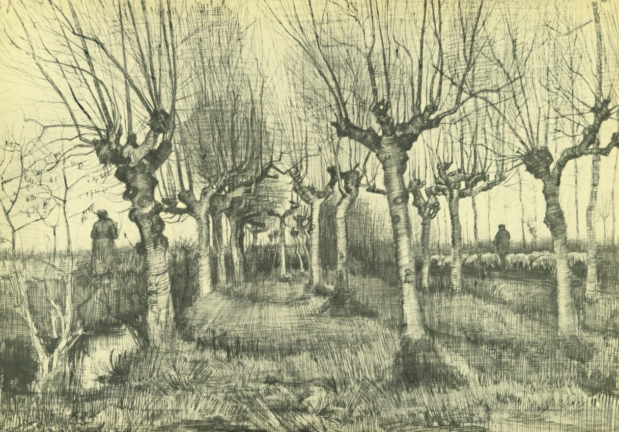 Geknotte berken door Vincent van Gogh