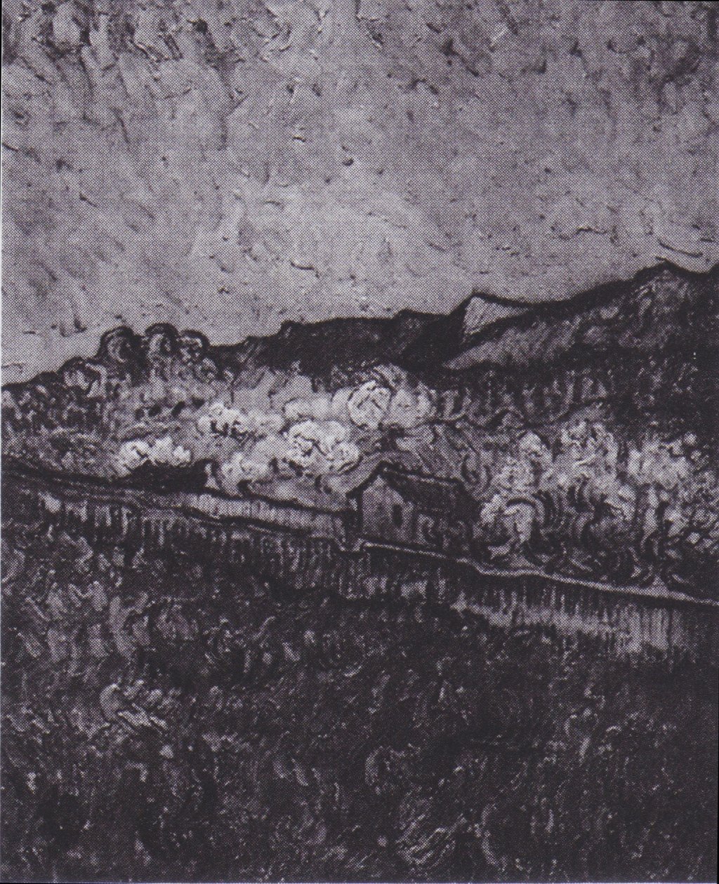 Omheind veld met uitzicht op een berglandschap door Vincent van Gogh