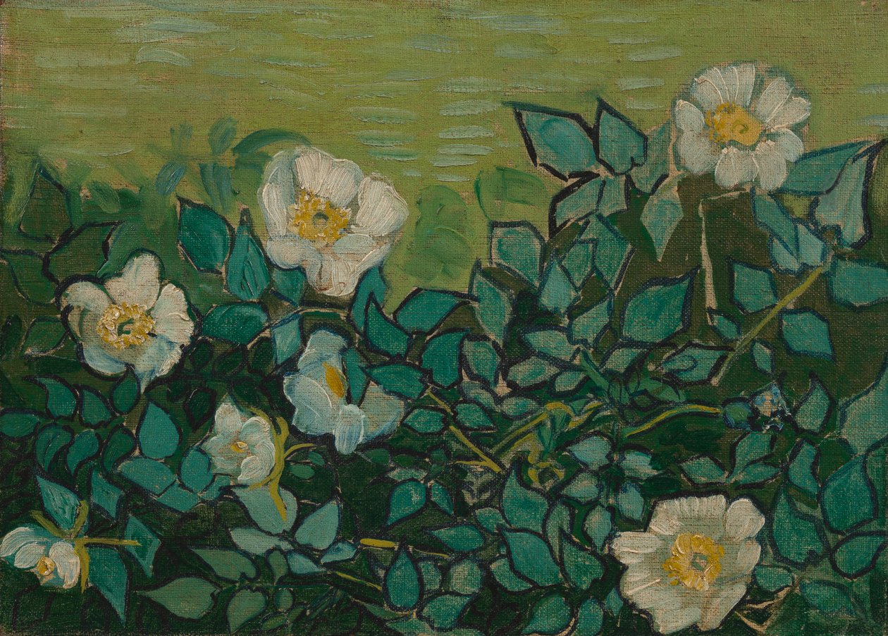 Wilde rozen door Vincent van Gogh