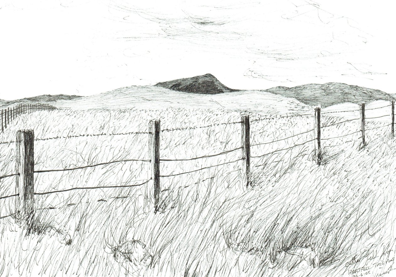 Culter Fell vanaf Hartfell, 2005 door Vincent Alexander Booth