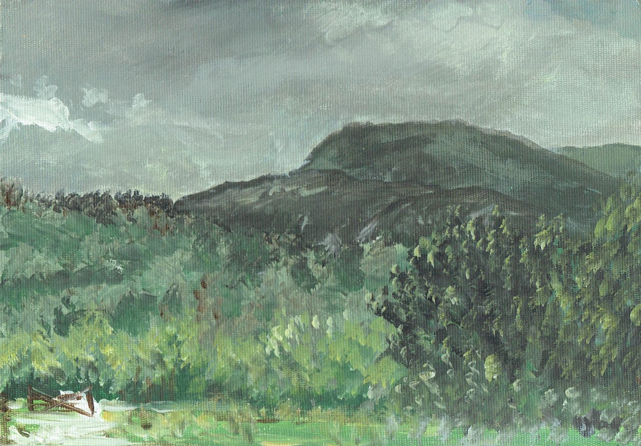 Heuvels bij Creag Dhugh, 2006 door Vincent Alexander Booth