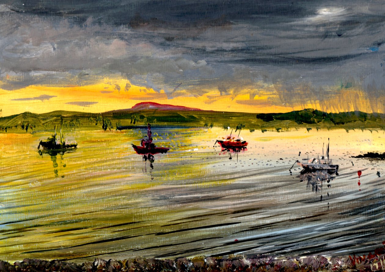 Op Holy Island bij zonsondergang, 2007 door Vincent Alexander Booth