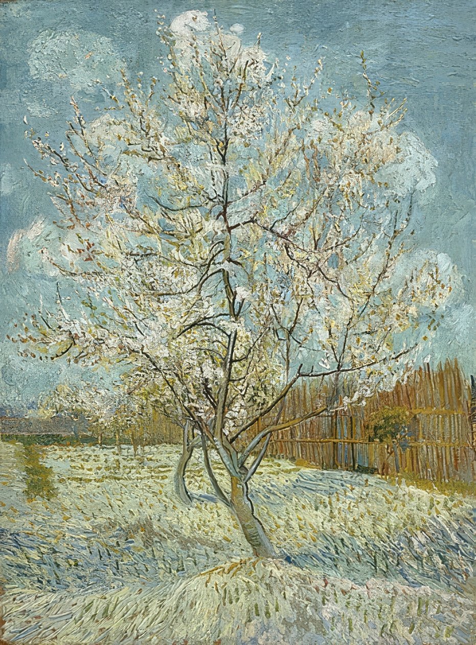 Bloeiende perzikboom (roze) door Vincent van Gogh