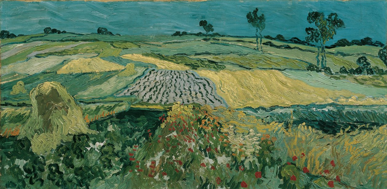 De Vlakte van Auvers door Vincent van Gogh