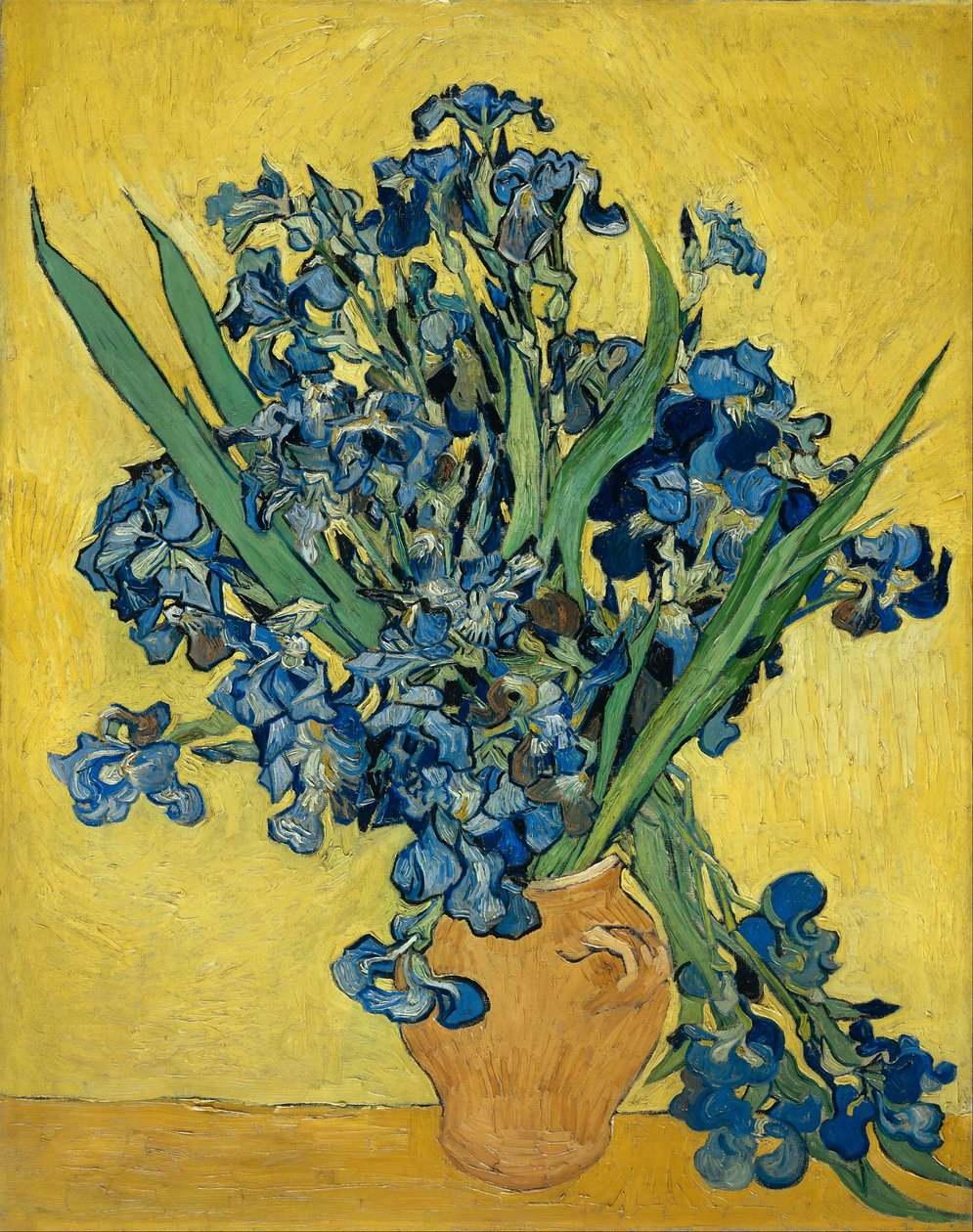 Iris door Vincent van Gogh