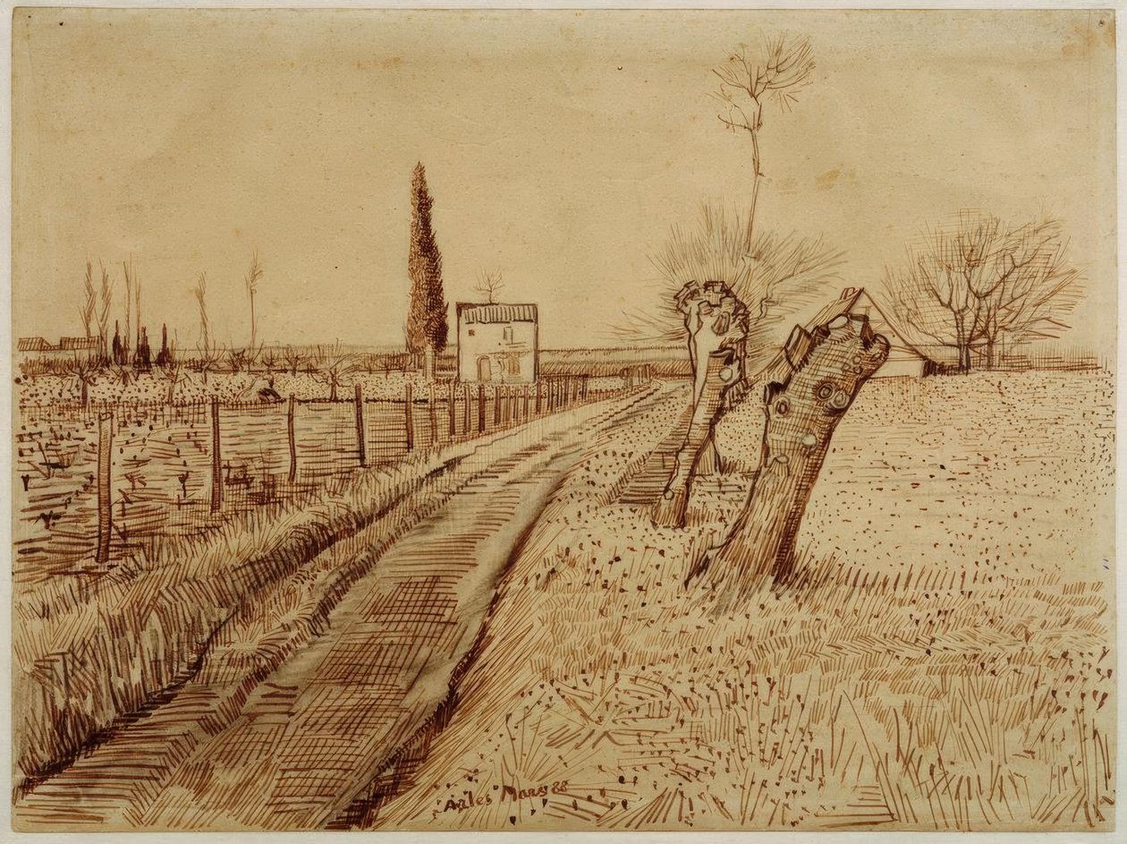 Landschap met weg en knotwilgen door Vincent van Gogh