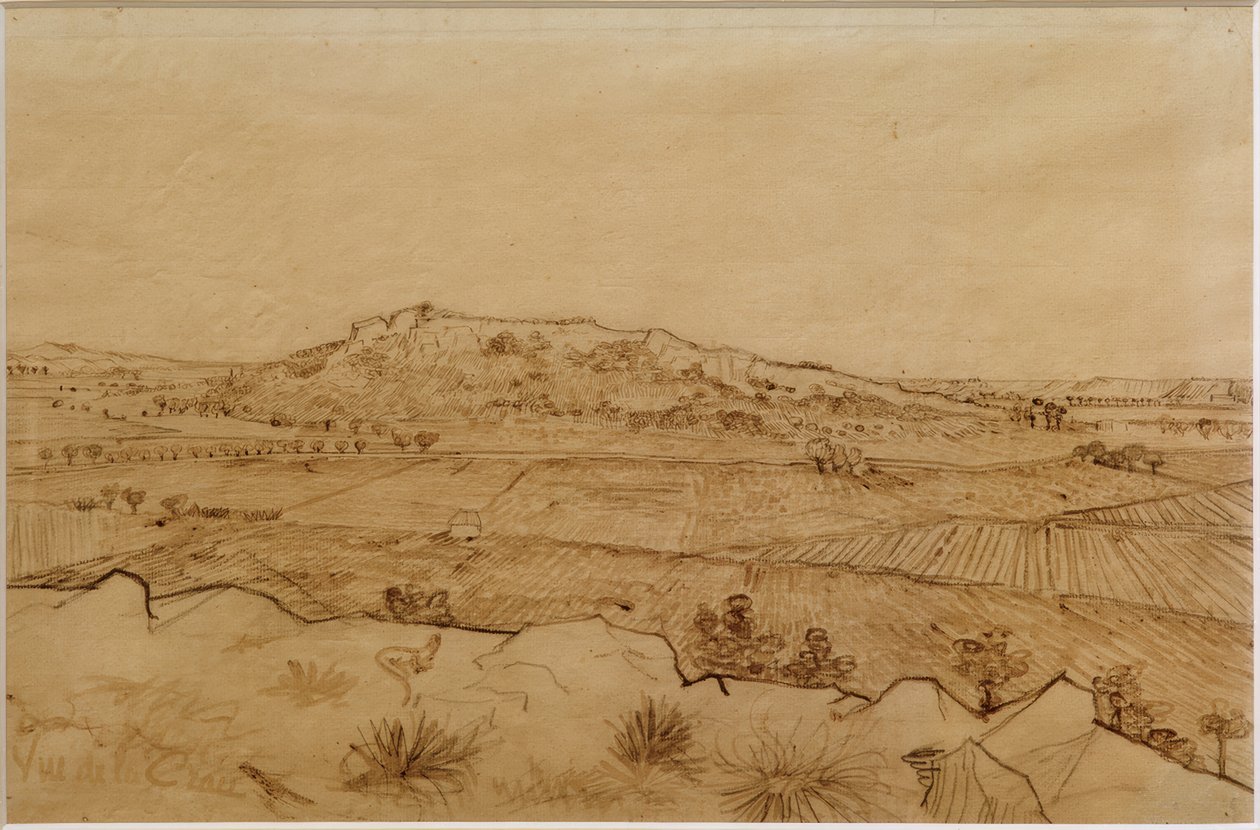 Uitzicht op de Crau door Vincent van Gogh