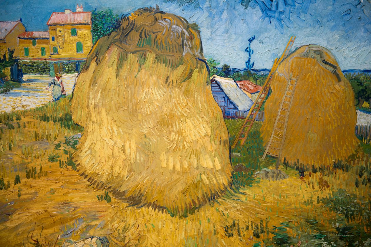 Tarwestapels in de Provence door Vincent van Gogh