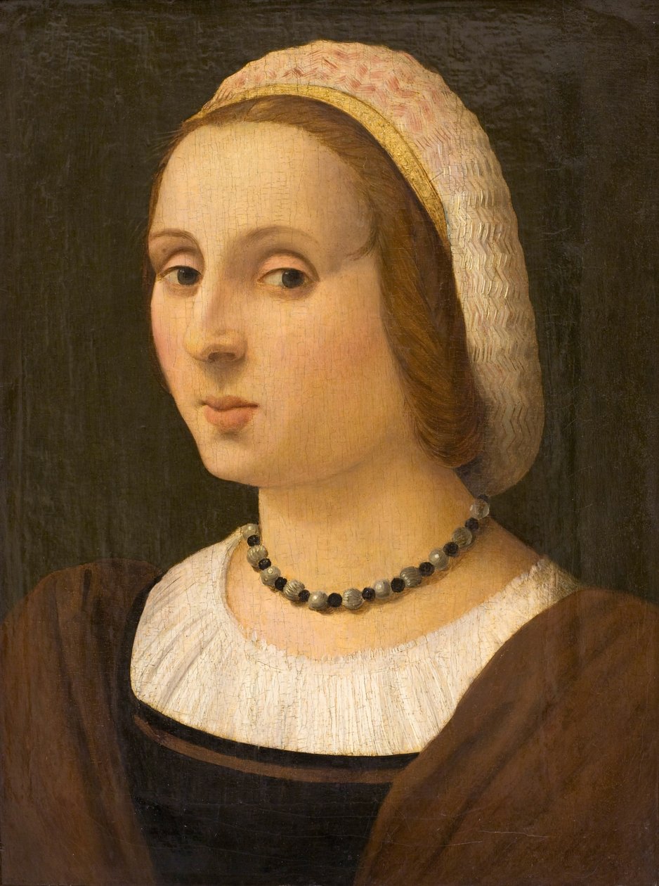 Portret van een Dame door Vincenzo Tamagni