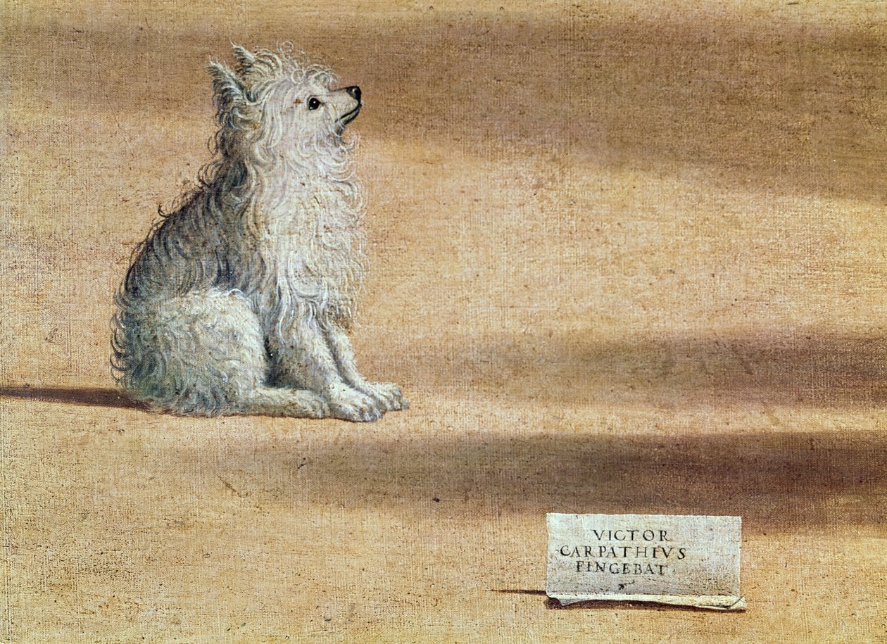 Visioen van St. Augustinus, detail van de hond door Vittore Carpaccio