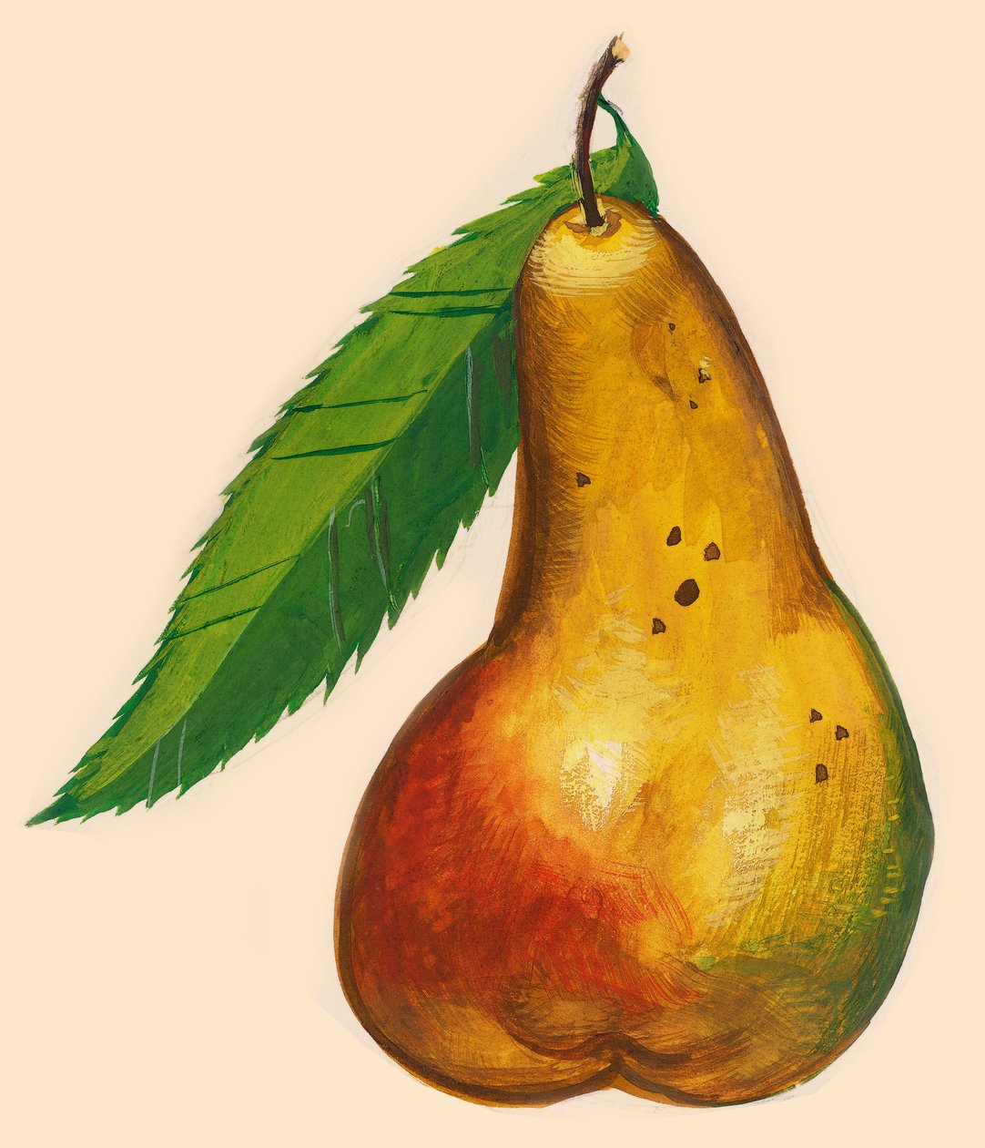 Peer met blad, tekening door John Ward Dunsmore