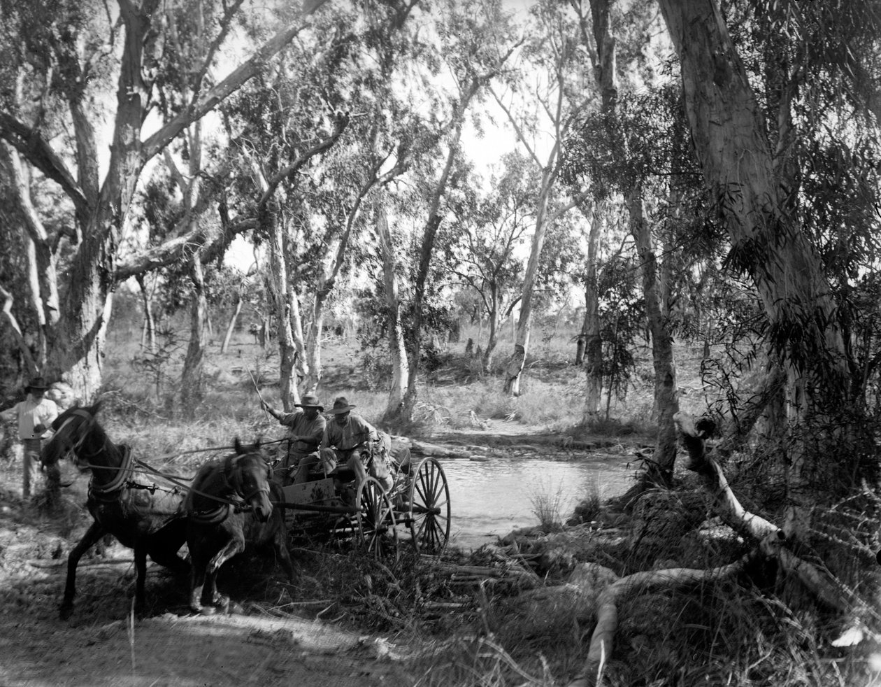 Het oversteken van Salt Creek nabij de Roper River, Oost-Arnhem Land, Australië, juli 1911 door Walter Baldwin Spencer