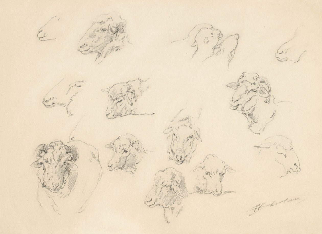 Studie van schapenkoppen, 1877 door Walter Shirlaw