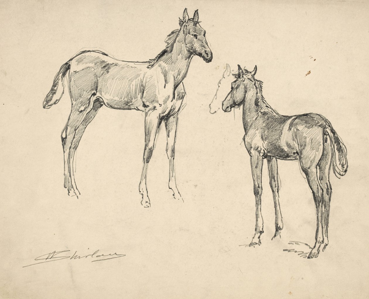 Studie van twee veulens door Walter Shirlaw