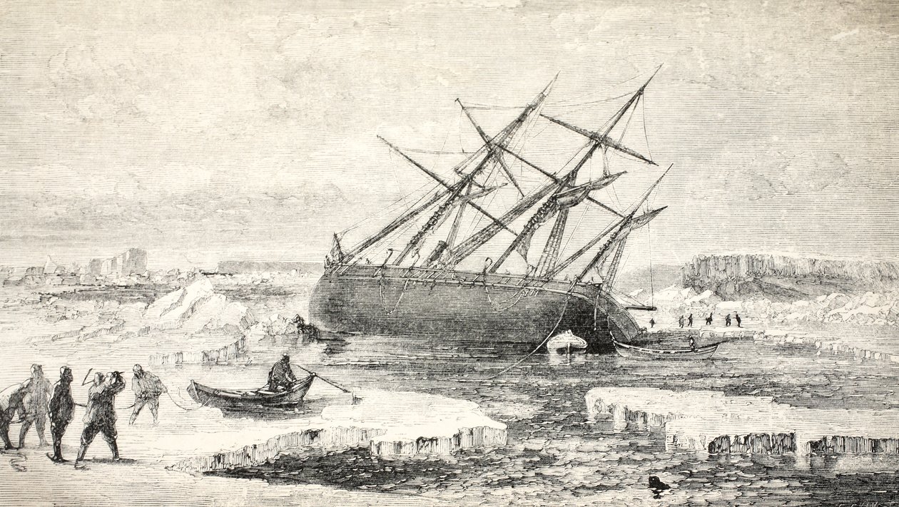 De Vos op een Rots bij Buchan Island, 1859 door Walter William May