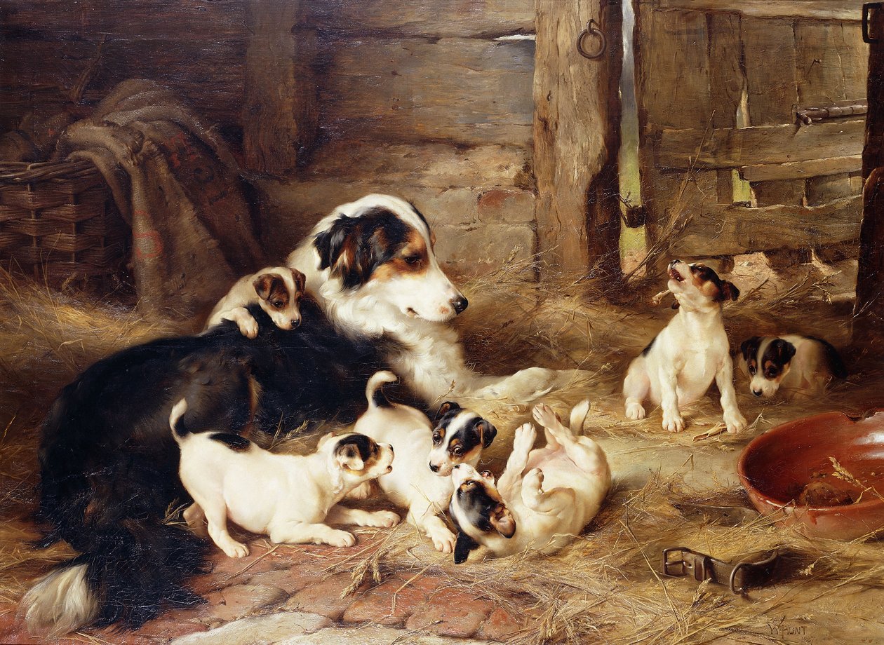 De Pleegmoeder door Walter Hunt