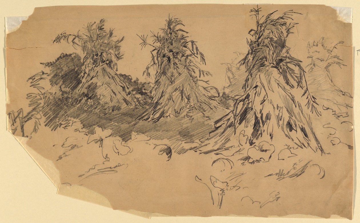 Maïsstengels door Walter Shirlaw